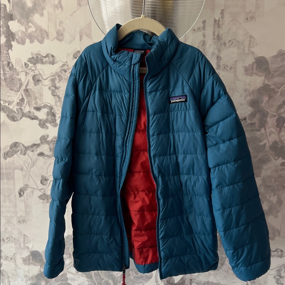 Patagonia Kids Teal and Red Puffer Jacket